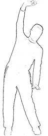 36
